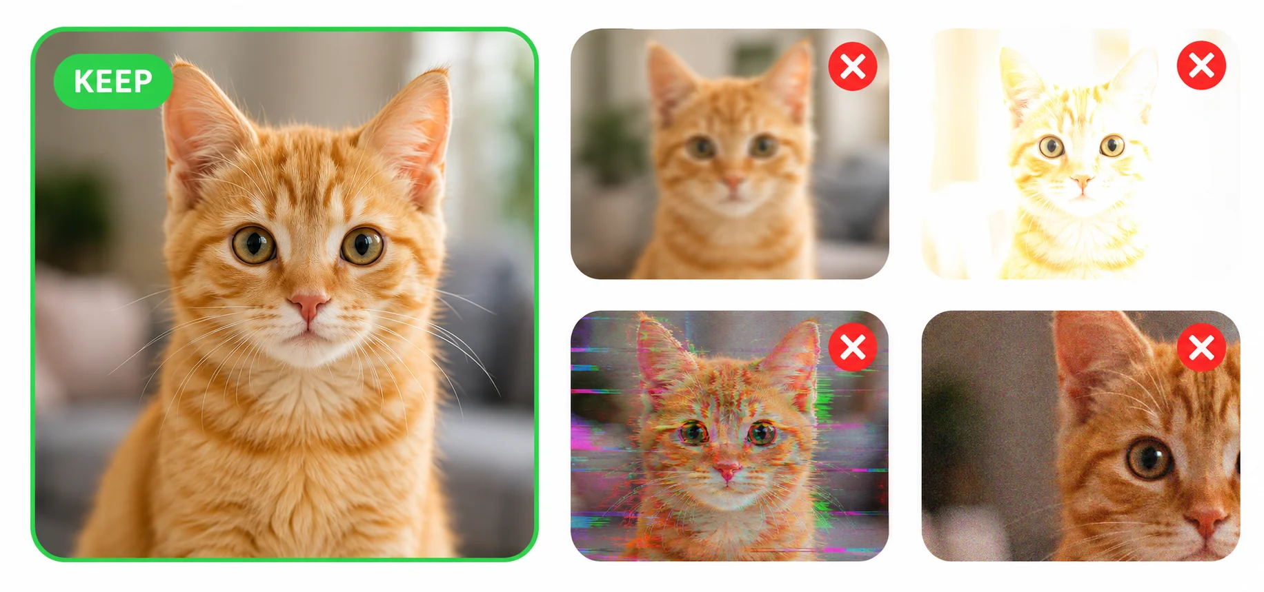 Cleanzly comparing five similar cat photos — the sharpest one marked KEEP and the four blurry, overexposed, glitched and grainy duplicates marked for deletion